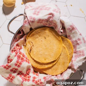 Homemade Corn Tortillas