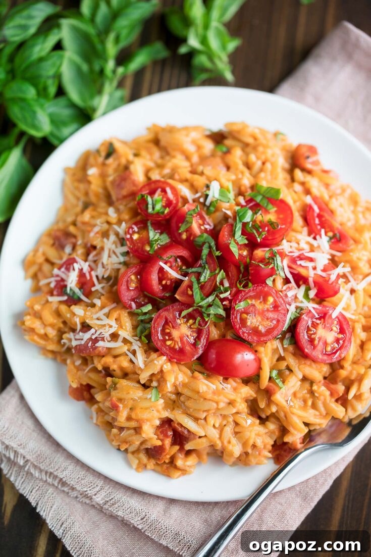 Creamy Tomato Orzo pasta dish.