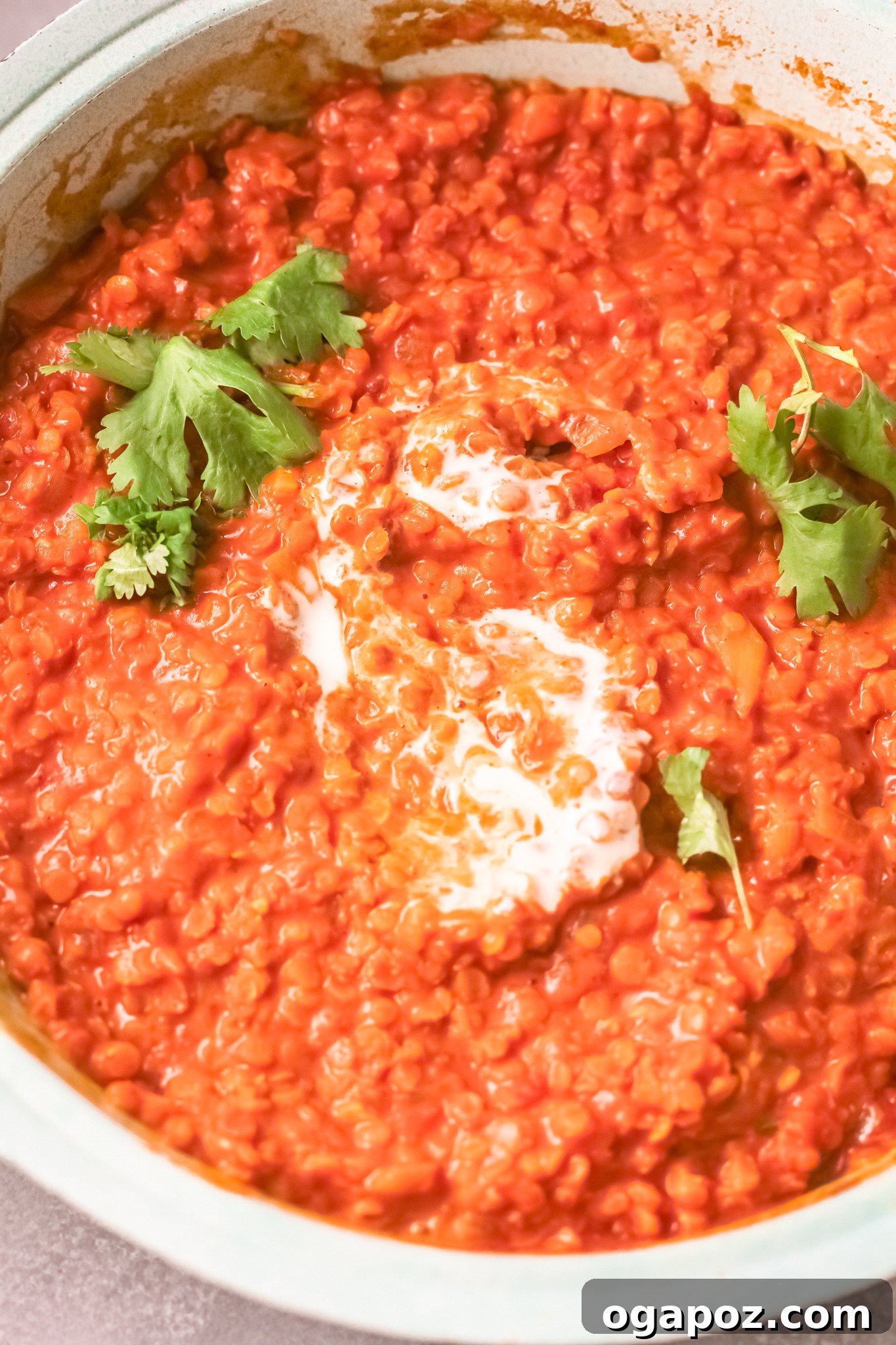 Spiced Red Lentil Curry 4 A close-up of Red Lentil Curry in a bowl, garnished generously with fresh chopped parsley, highlighting its rich color and inviting texture.