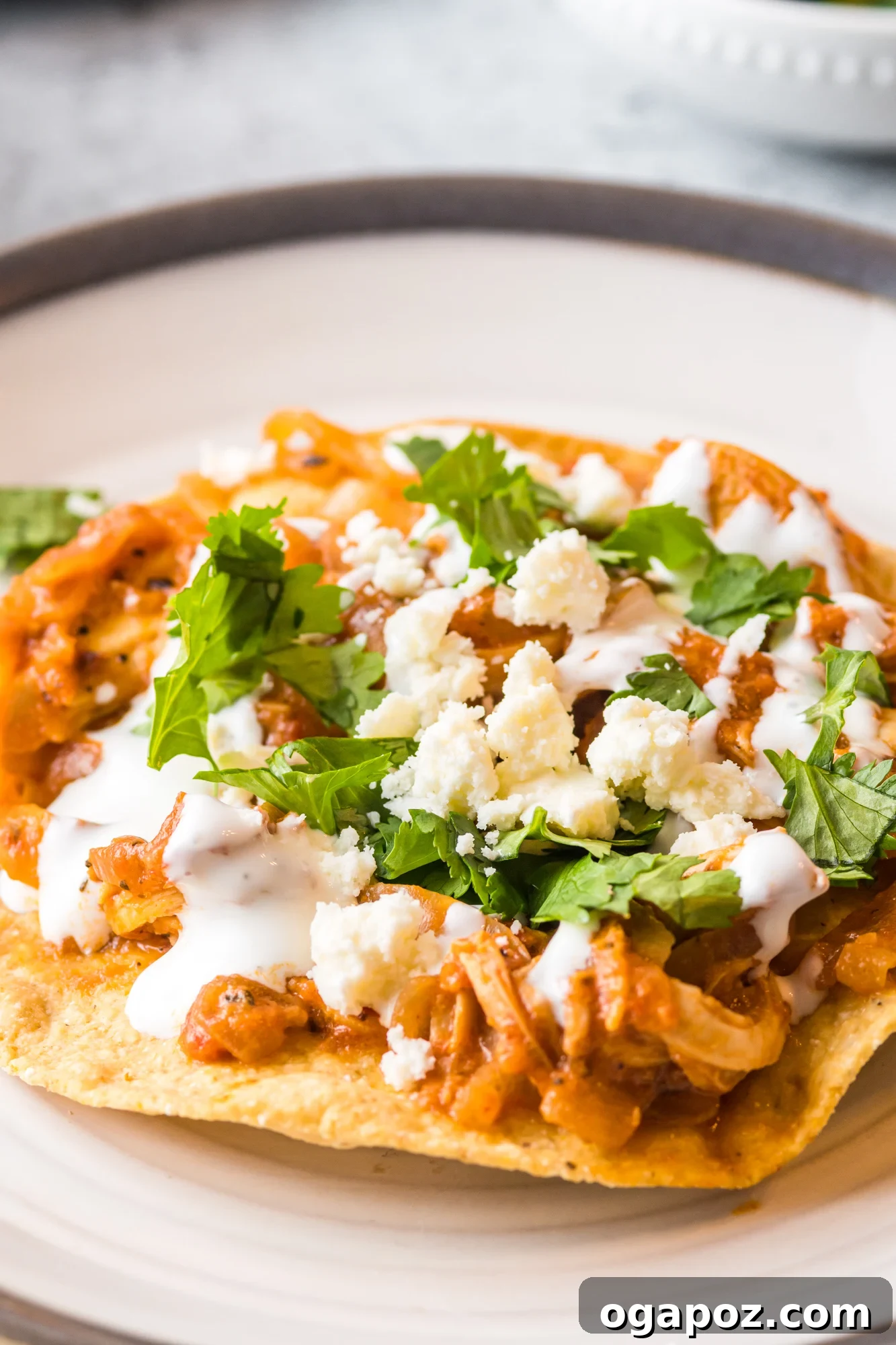 Chicken Tinga served with sour cream and fresh cilantro.