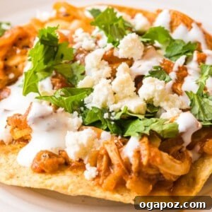 Chicken Tinga Recipe 1200 x 1200