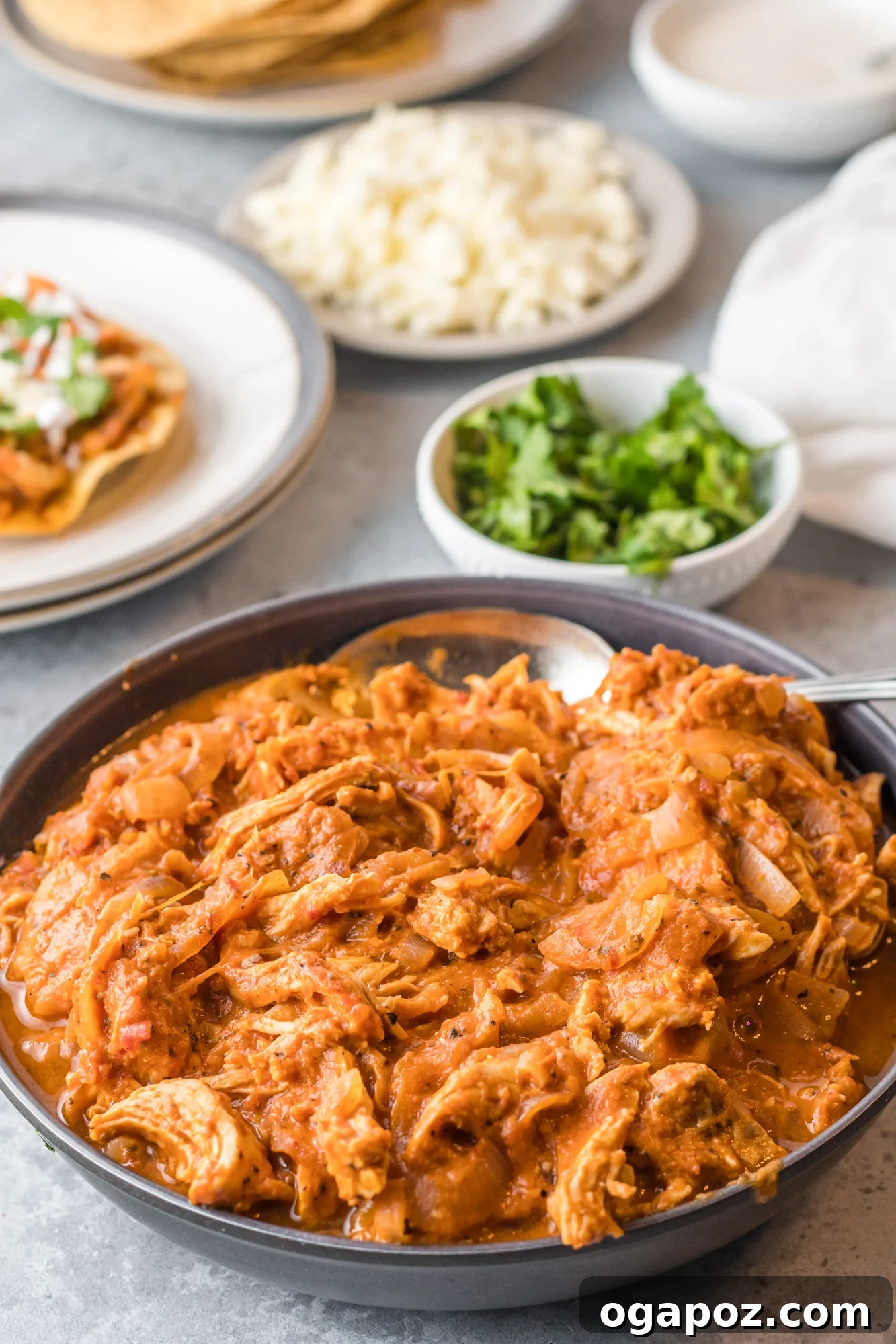 Chicken Tinga garnished with fresh cilantro in a bowl.