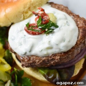 Easy Greek Burger Recipe featured image