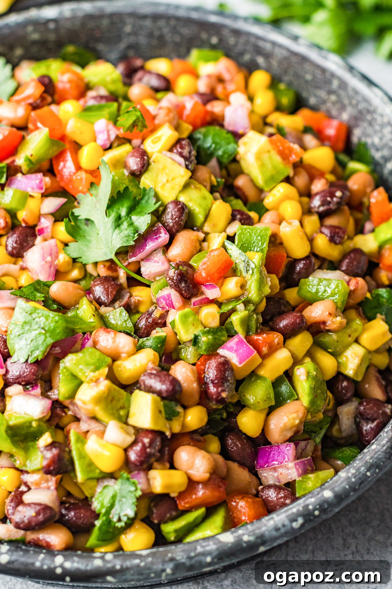 Southwestern Fiesta Dip 5 A close-up of Cowboy Caviar in a bowl, garnished with fresh cilantro, ready to be served.