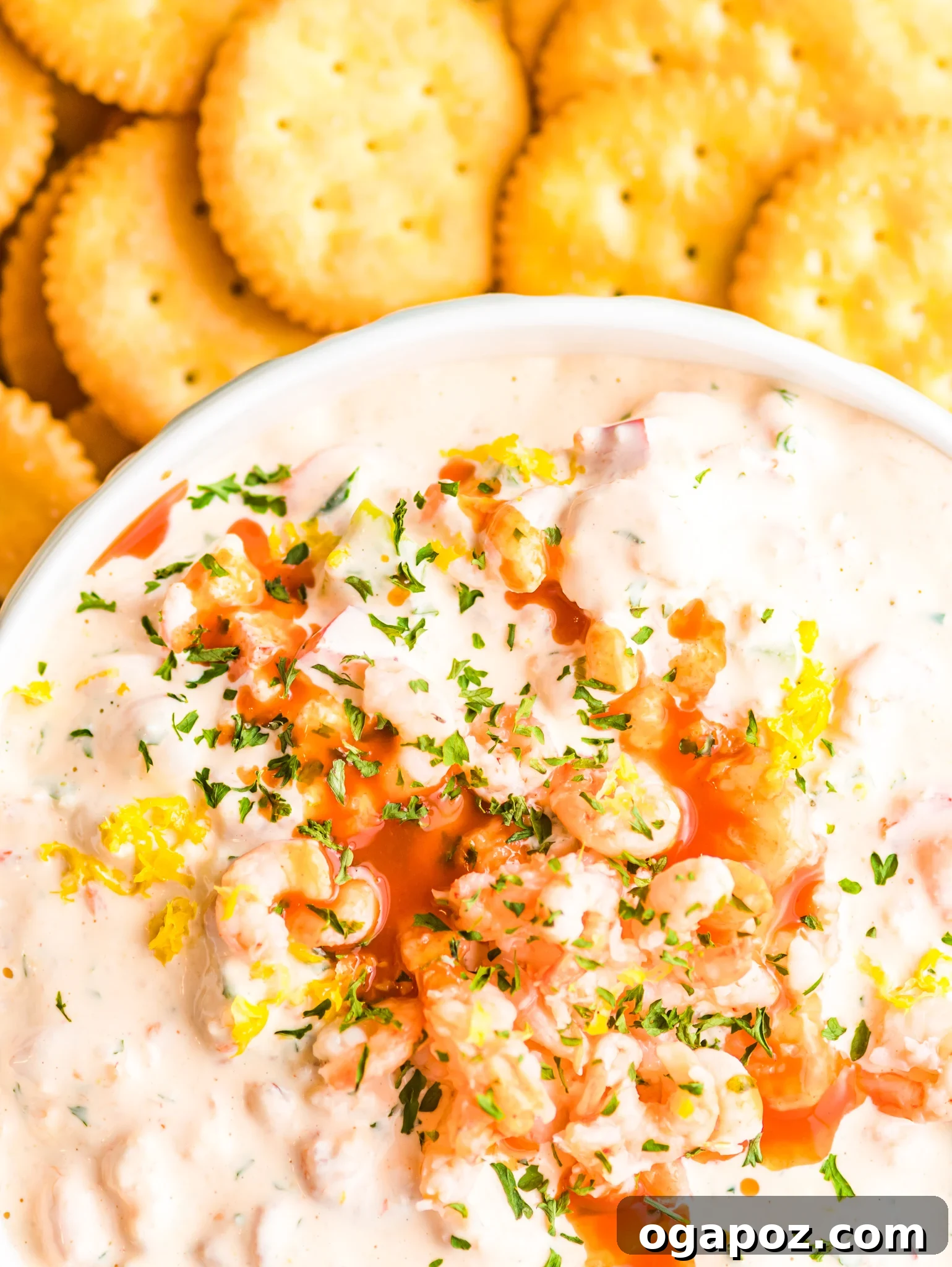 Ultimate Party Shrimp Dip 5 Shrimp Dip Recipe with crackers.