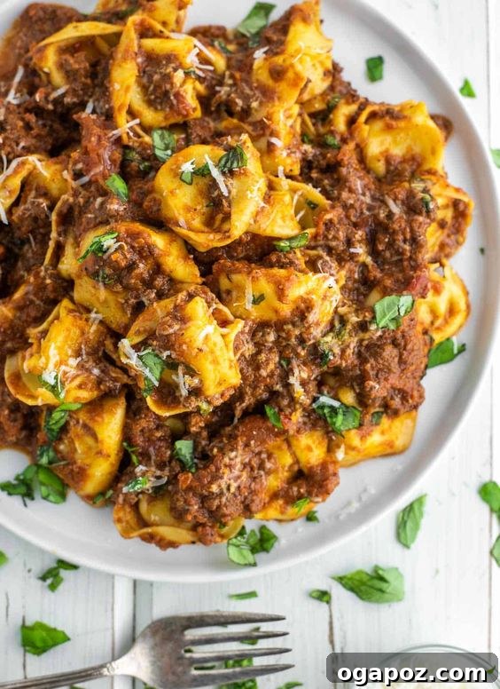 26+ Meat Sauce Masterpieces Delicious Dinners and Effortless Encore Meals 11 Bolognese and Tortellini pasta dish