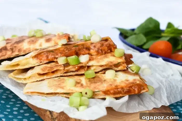 26+ Meat Sauce Masterpieces Delicious Dinners and Effortless Encore Meals 14 Bolognese Quesadillas filled with meat sauce and cheese