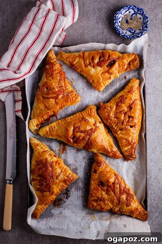 26+ Meat Sauce Masterpieces Delicious Dinners and Effortless Encore Meals 10 Individual Cheesy Meat Sauce Pies with flaky pastry