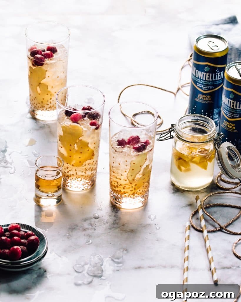 Ultimate Indian Drink Recipes 13 Montellier Ginger Cocktail-1