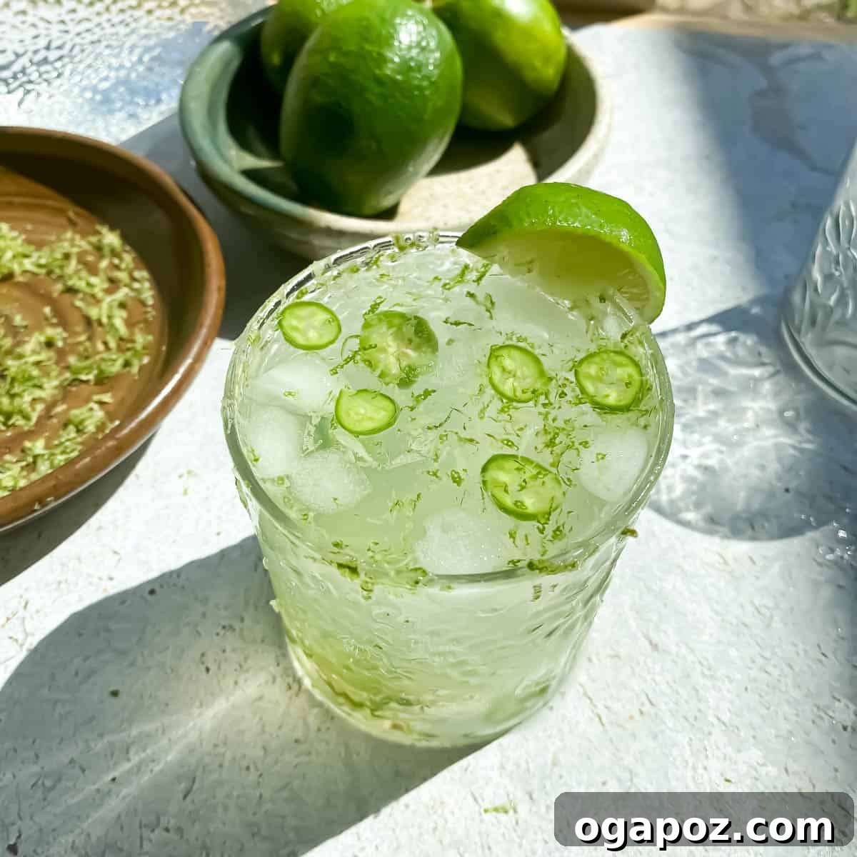 Ultimate Indian Drink Recipes 15 Spicy Nimbu Pani Cocktail
