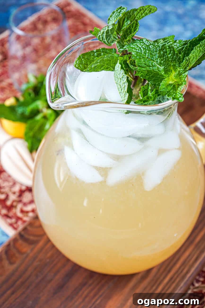 Ultimate Indian Drink Recipes 6 Shikanji