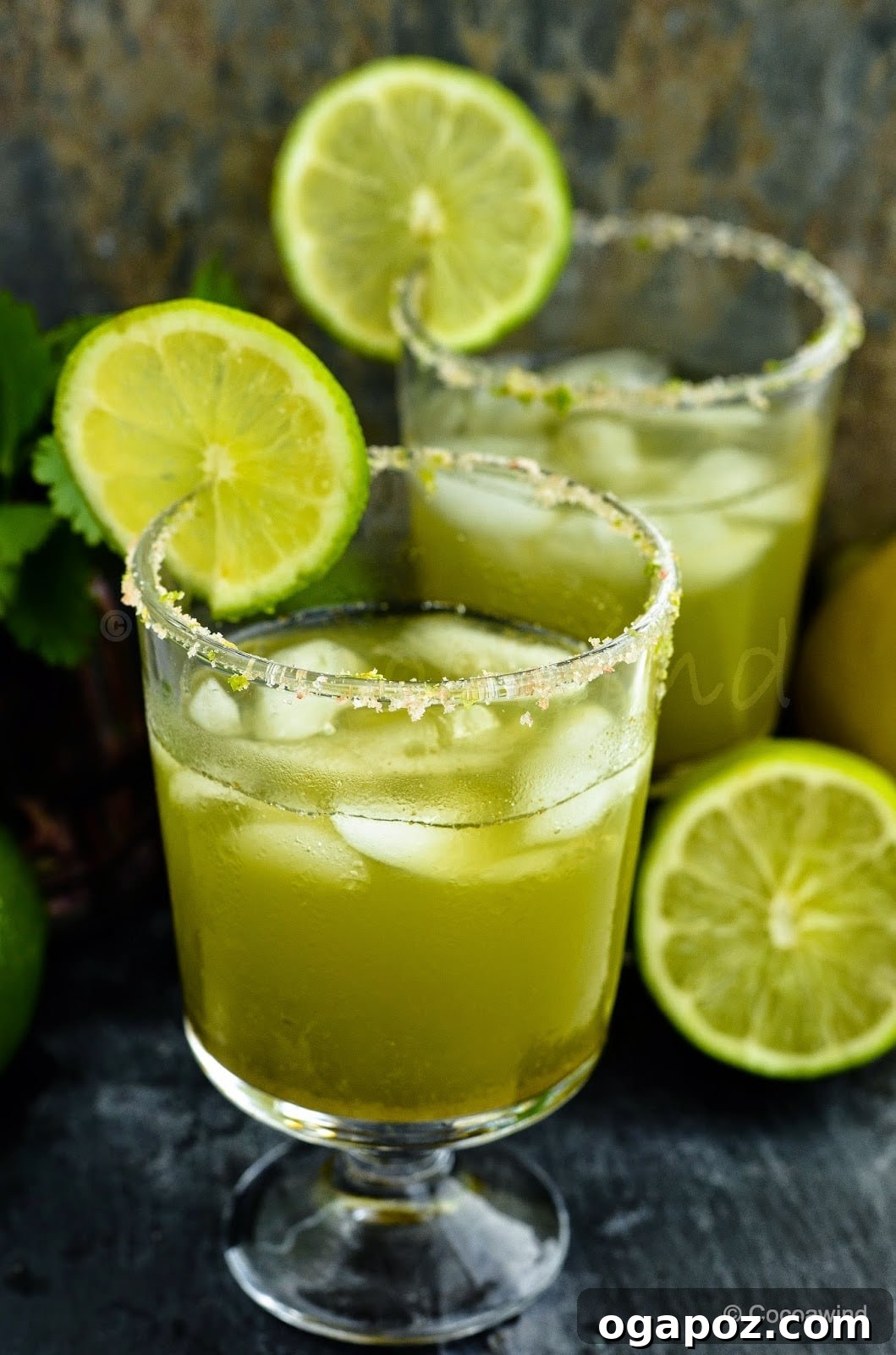 Ultimate Indian Drink Recipes 10 Jaljeera