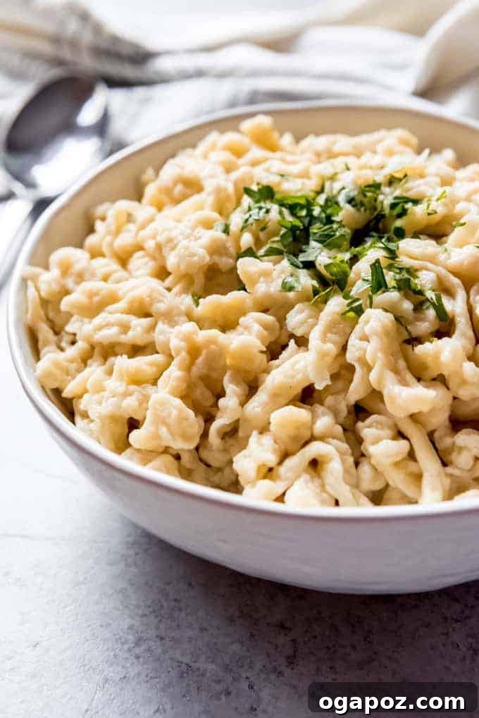German Pasta Delights 2 Easy Homemade Spätzle: Traditional German Egg Noodles