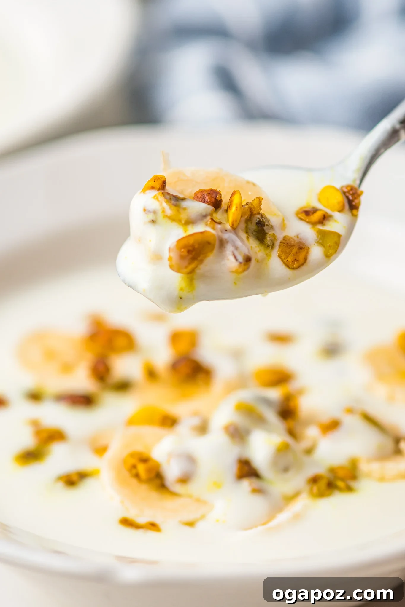 Creamy Homemade Instant Pot Yogurt 2 Instant Pot Yogurt Recipe with spoon.