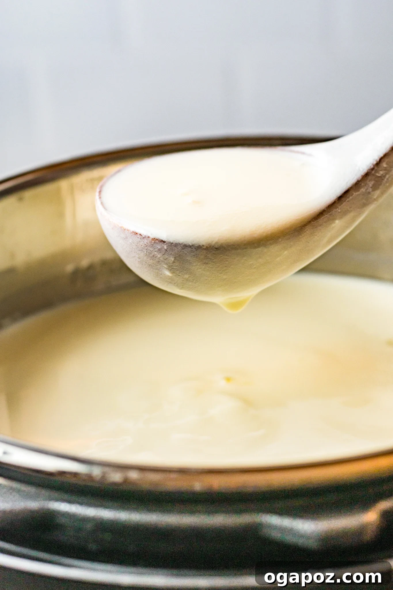 Creamy Homemade Instant Pot Yogurt 8 Instant Pot Yogurt Recipe with spoon of yogurt.