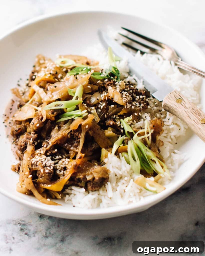 10 Flavorful Ground Beef and Cabbage Recipes 3 Ground Beef Stir Fry in a bowl with rice.