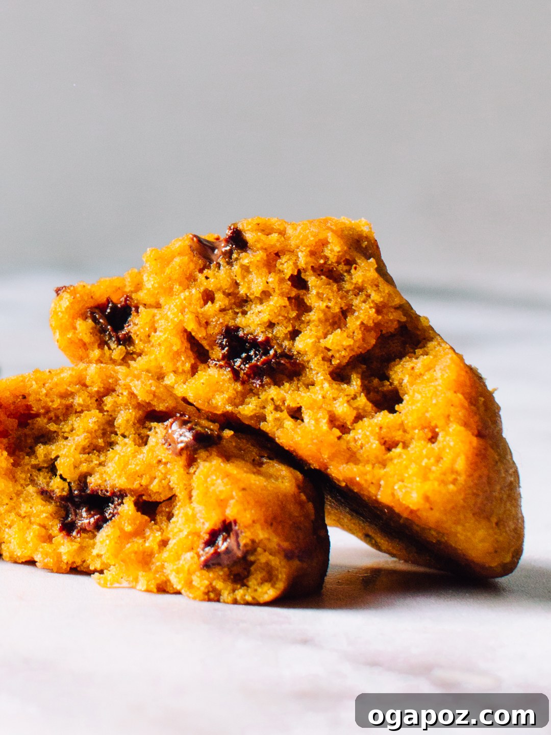 Spiced Autumn Pumpkin Chocolate Chip Cookies 5 A freshly baked pumpkin chocolate chip cookie, cut in half to reveal its soft, moist interior and abundance of chocolate chips.