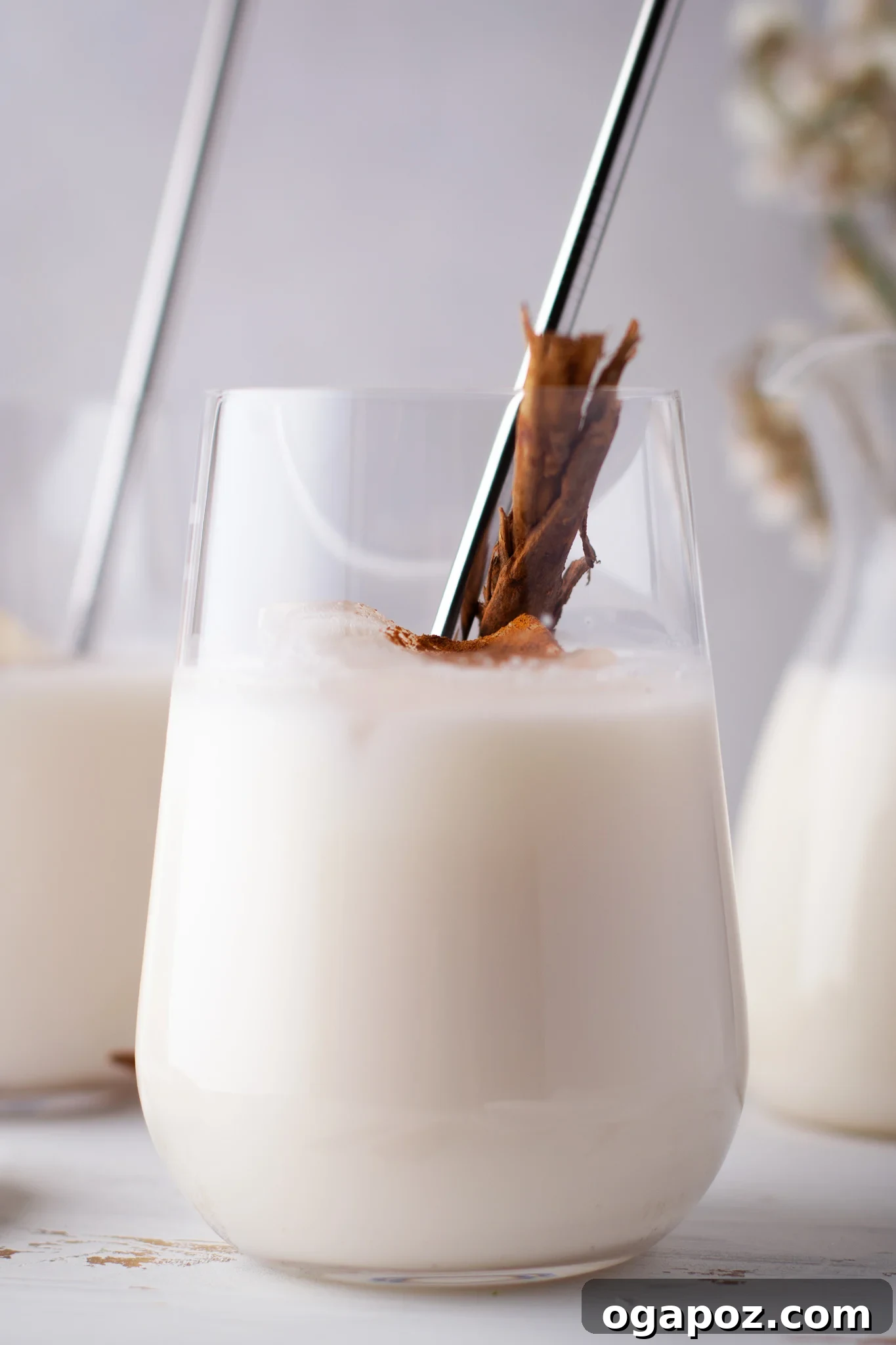 Sweet & Creamy Homemade Horchata 2 A tall glass of homemade Horchata garnished with cinnamon, ready to be served over ice.
