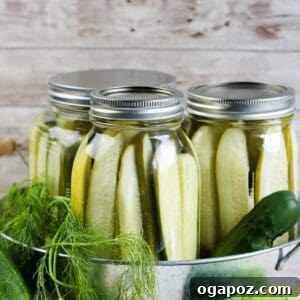 Easy No-Cook Dill Pickles 8 Refrigerator Dill Pickles 1200 x 1200