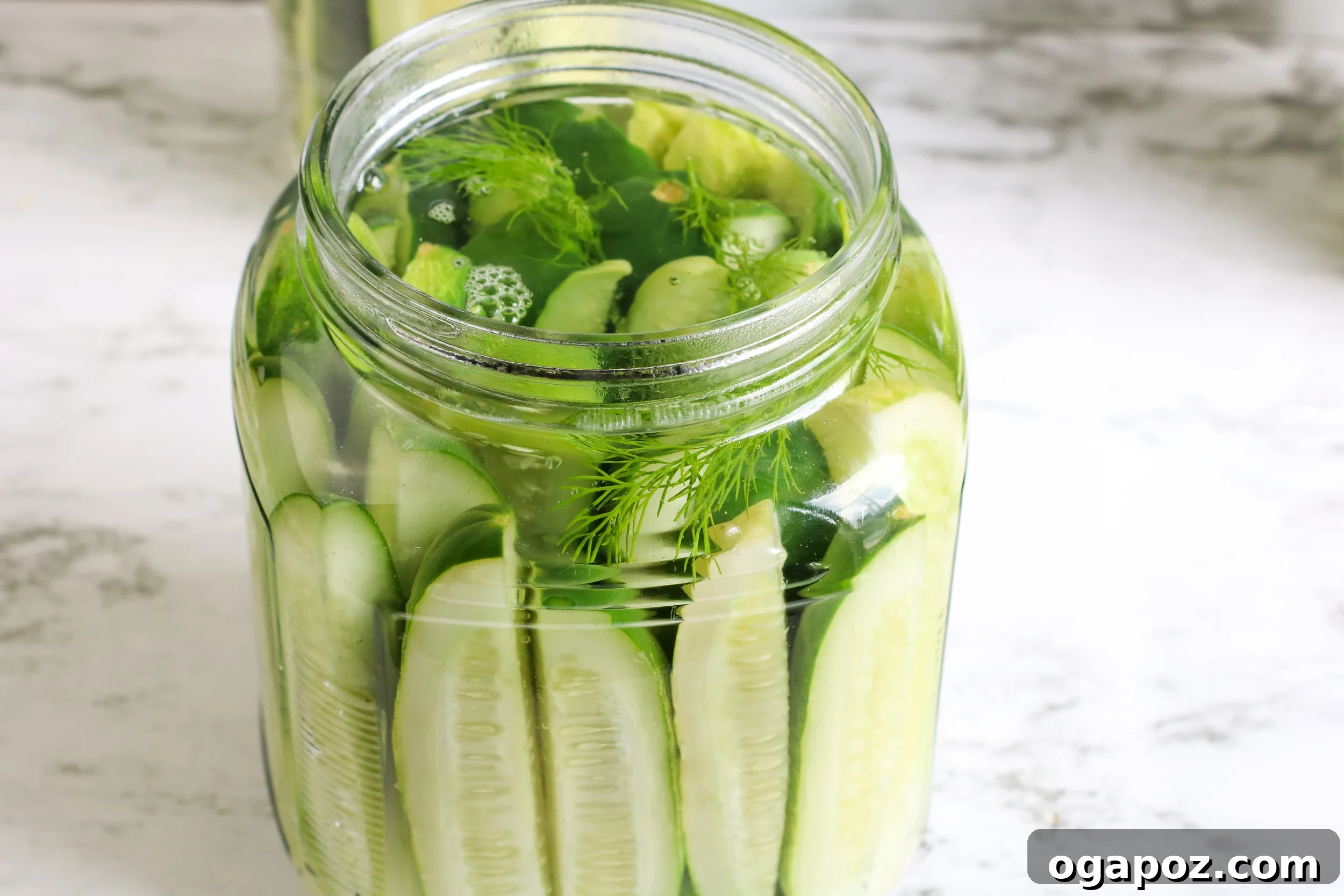 Easy No-Cook Dill Pickles 4 Close-up of refrigerator dill pickles in a jar, highlighting the texture and infusion.