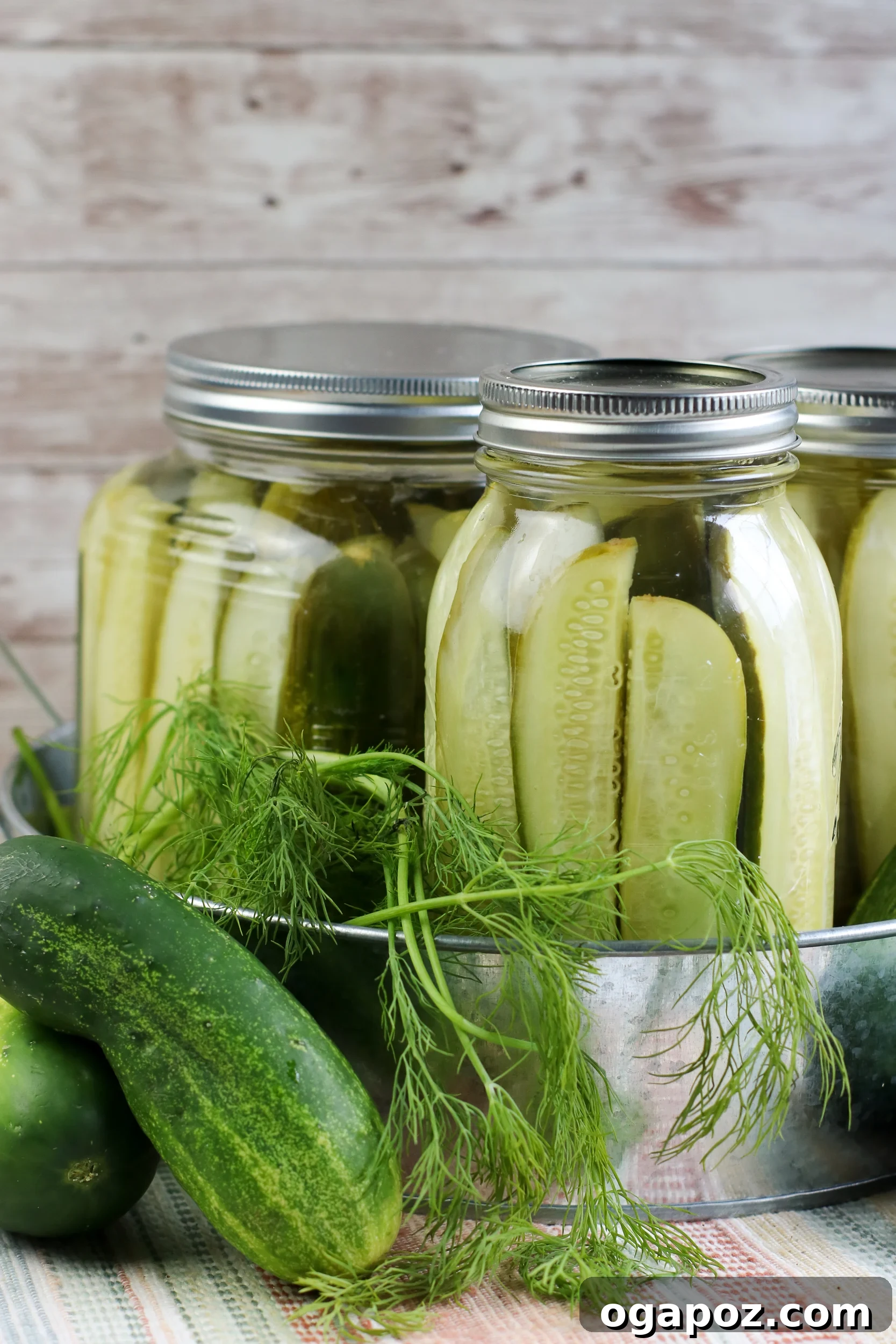 Easy No-Cook Dill Pickles 6 Close-up of a refrigerator dill pickle spear garnished with fresh dill.