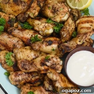Beautifully plated Grilled Mediterranean Chicken Wings.