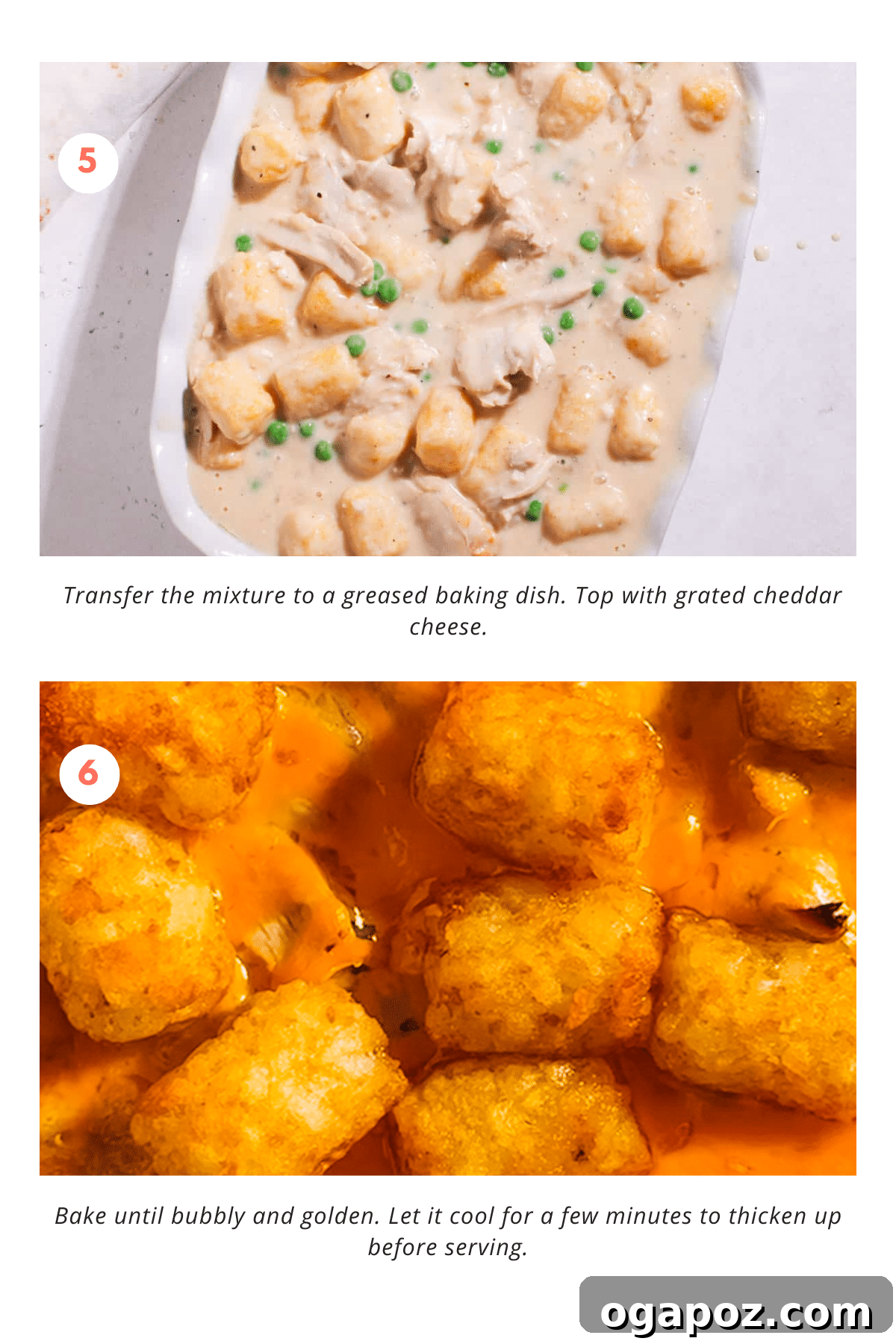Quick and Scrumptious Chicken Tater Tot Casserole 6 Freshly baked Chicken Tater Tot Casserole, golden and bubbly, ready to serve.