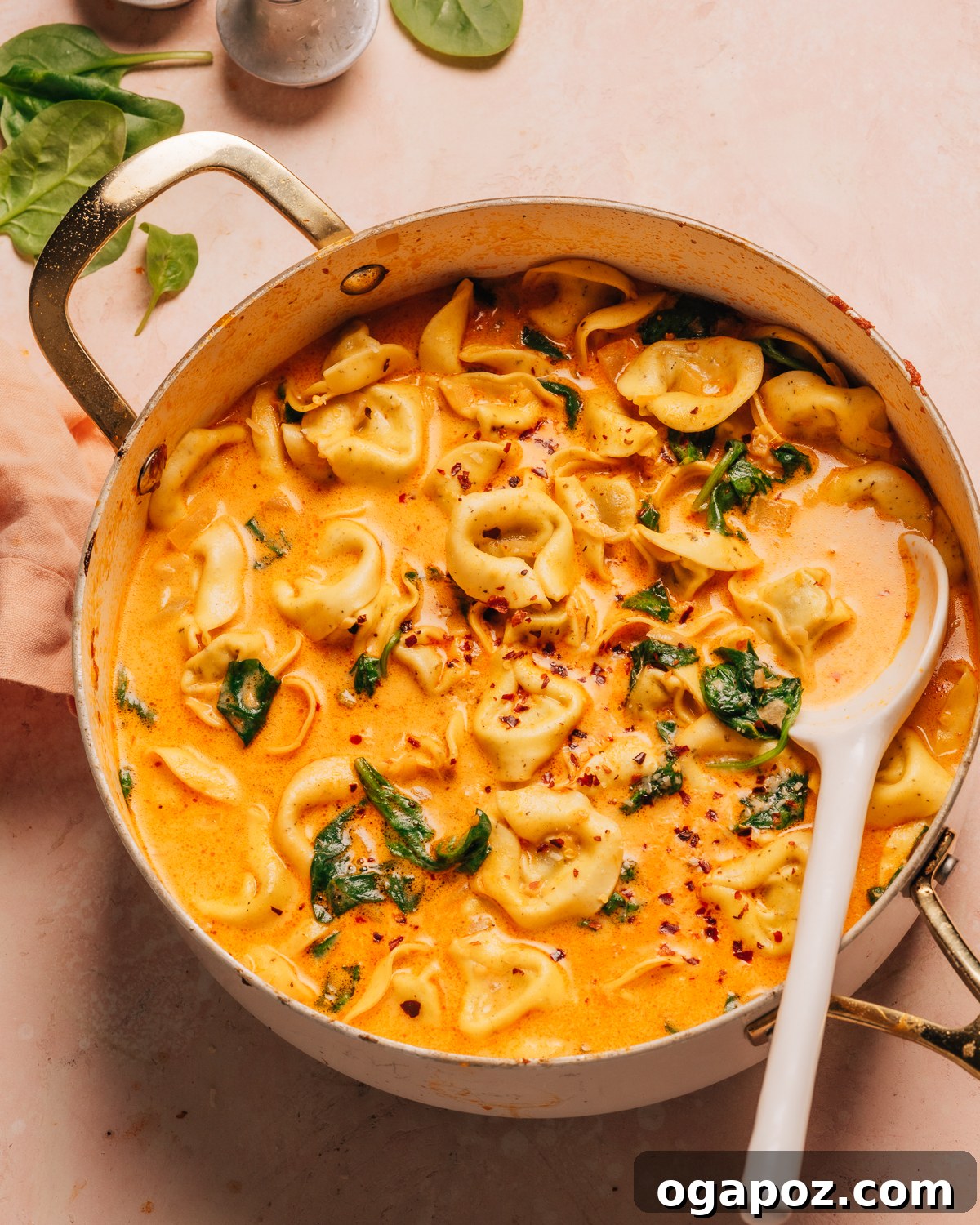 Creamy One-Pot Tortellini Soup 2 A vibrant bowl of creamy tortellini soup garnished with fresh herbs.