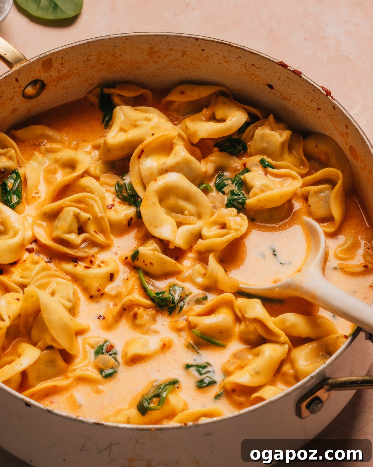 Creamy One-Pot Tortellini Soup 11 A steaming bowl of creamy tortellini soup with a spoon, ready to be enjoyed.