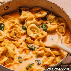 Creamy One-Pot Tortellini Soup 12 Creamy Tortellini Soup