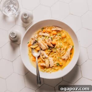 Instant Pot Chicken Soup.