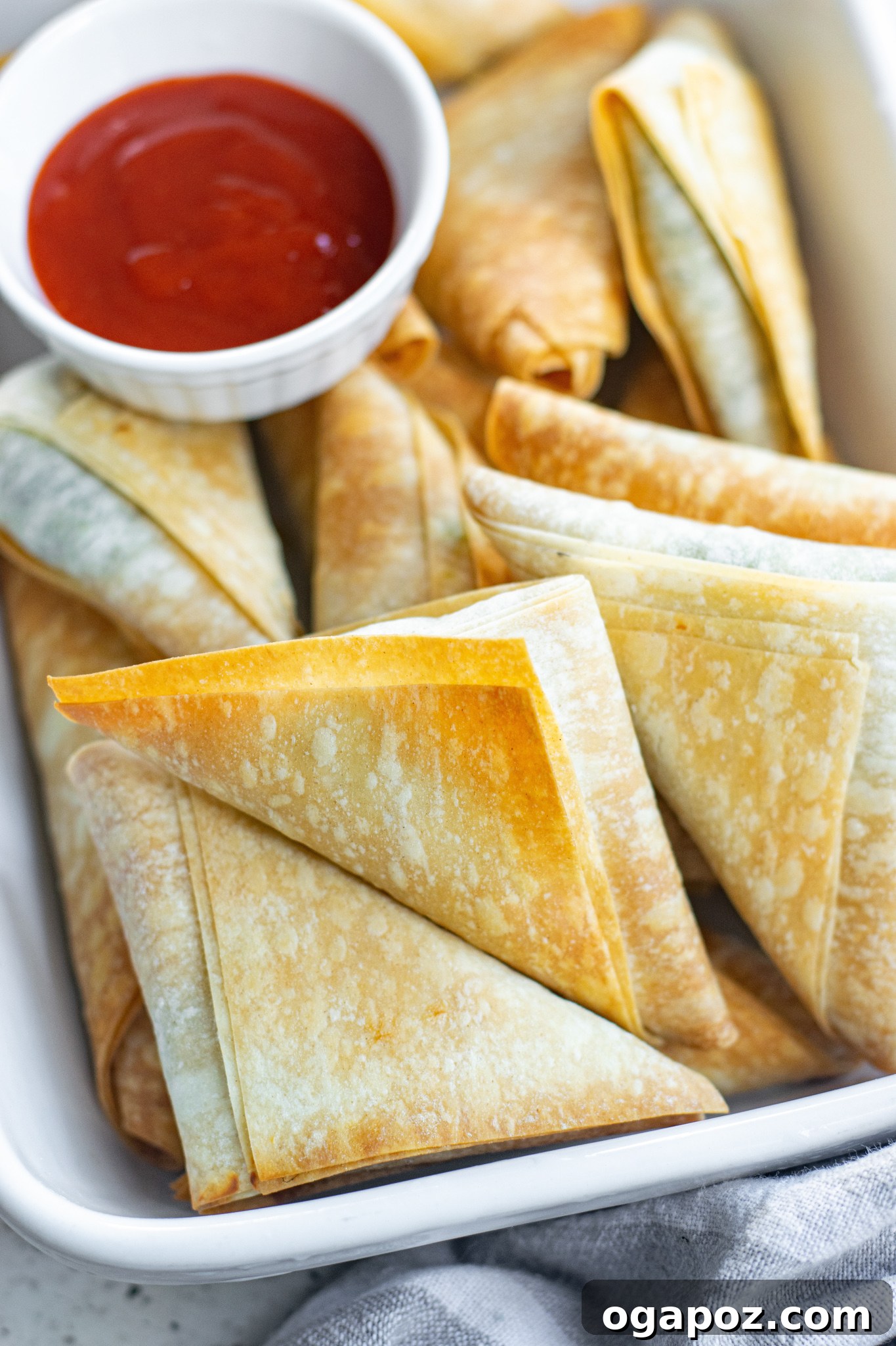 Savory Spinach and Feta Phyllo Pastries 2 Crispy Spanakopita Triangles served with a fresh herb garnish.
