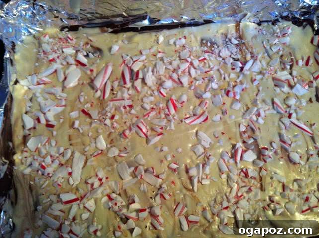 Freshly sprinkled peppermint pieces glistening on the wet white chocolate layer, ready for chilling
