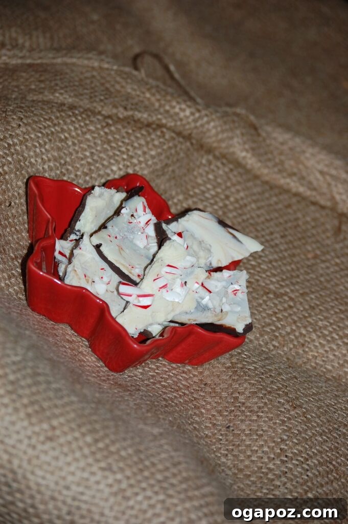 Peppermint Bark presented beautifully, making it an ideal homemade Christmas gift