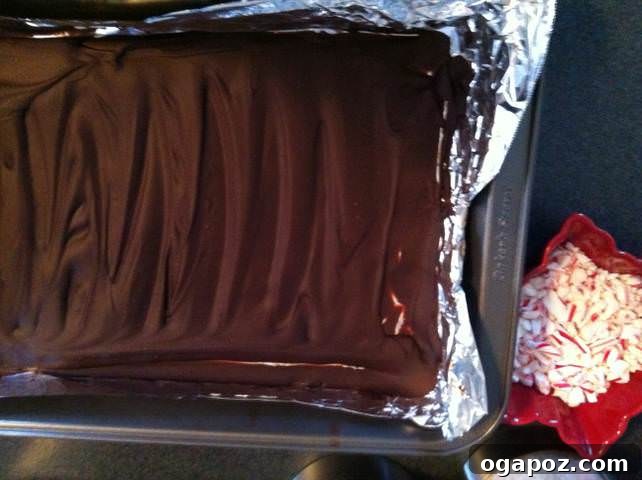 An evenly spread layer of rich dark chocolate on a baking sheet, ready for chilling and hardening