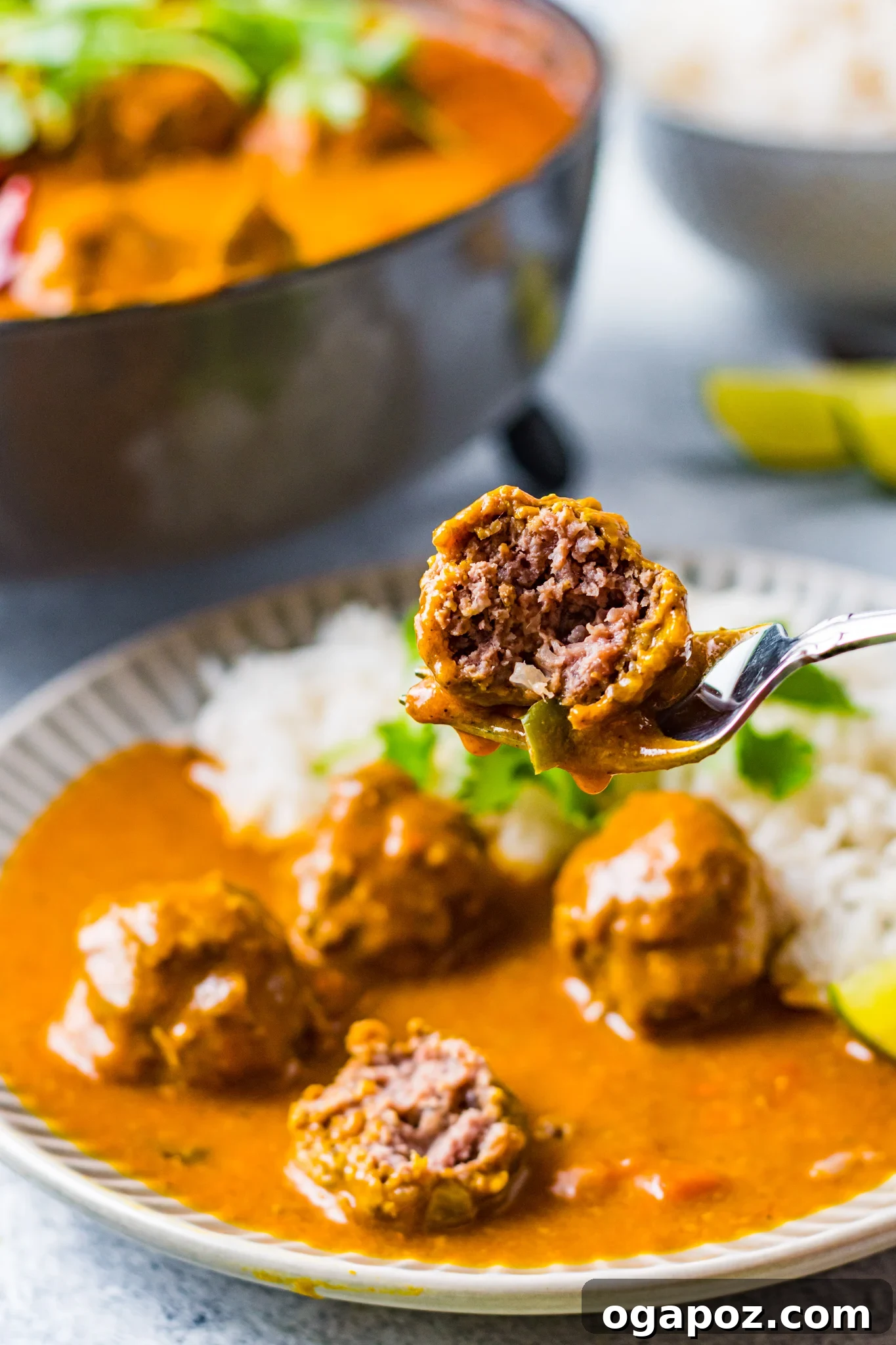 Golden Curry Meatballs 6 Curry Meatballs Recipe on a fork, showing the texture and rich sauce.