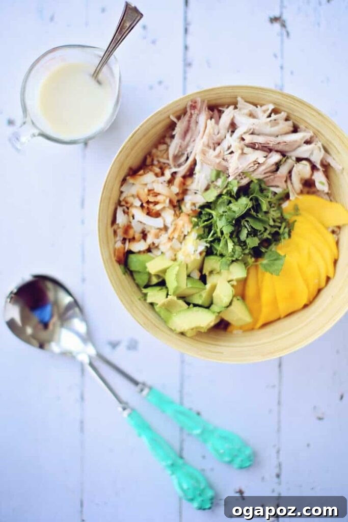 28 Healthy Chicken Recipes Easy Delicious Dietitian Approved 31 Tropical Mango Chicken Brown Rice Salad with Coconut Ginger Dressing