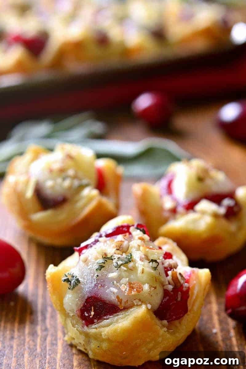 Simple Christmas Bites Everyone Craves 26 Chicken Cranberry Tartlets