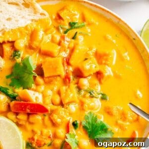 Delicious Vegan Pumpkin Curry in a bowl.