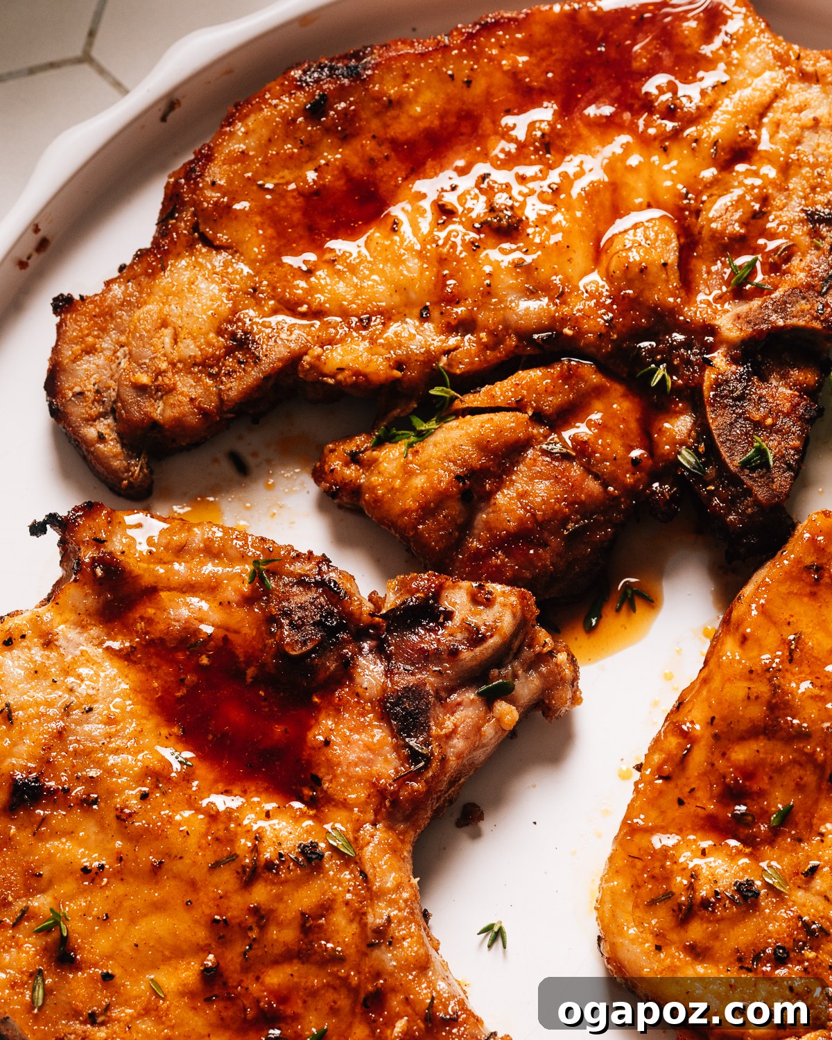 Succulent Air Fryer Pork Chops Every Time 10 Air fryer pork chops on a plate close up.
