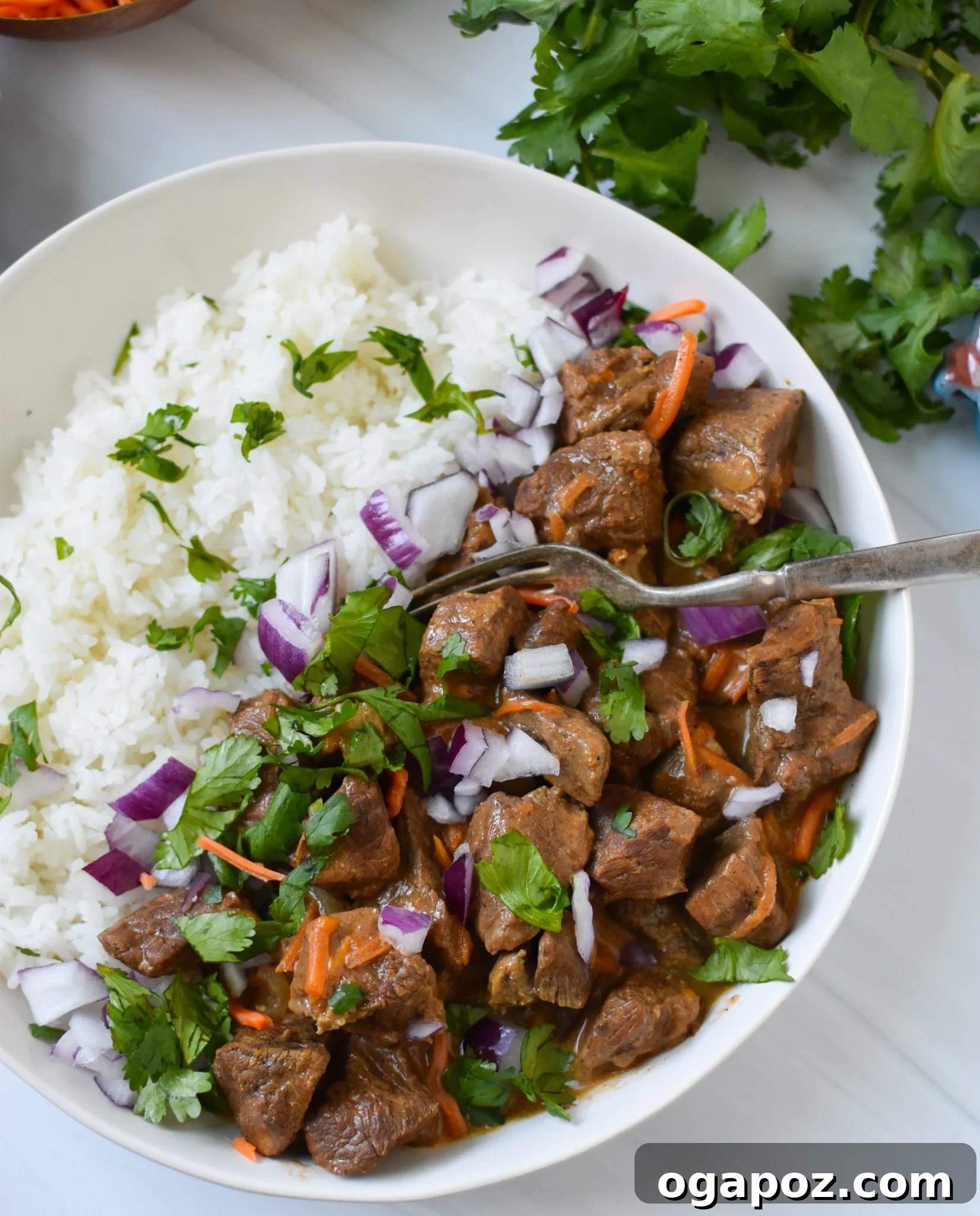 Fall-Apart Slow Cooker Beef Curry 2 Slow Cooker Beef Curry with carrots and cilantro.