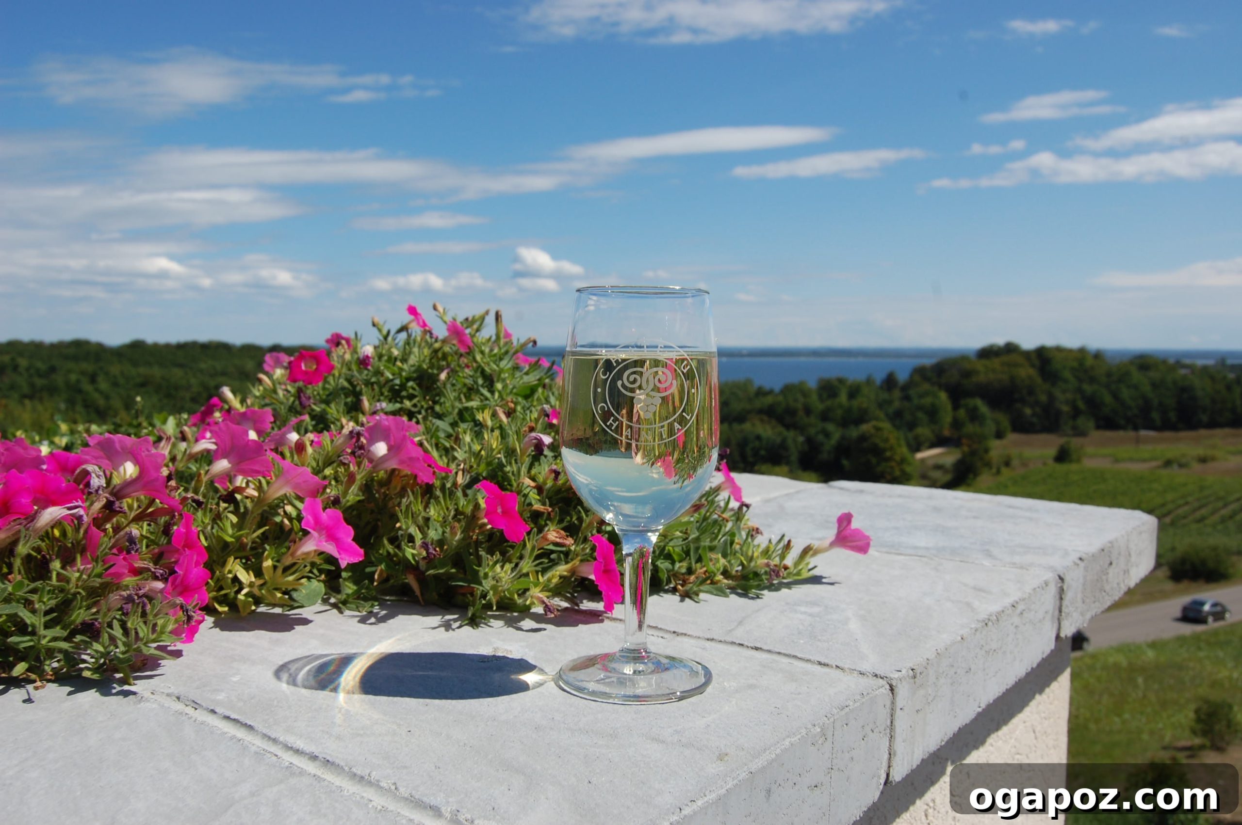 DSC_1492 Panoramic view from Chateau Chantal over vineyards and bay