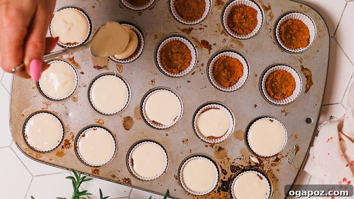 Cheesecake Morsels 11 Spoon the cheesecake filling