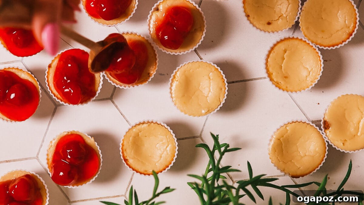 Cheesecake Morsels 12 filling cheesecake