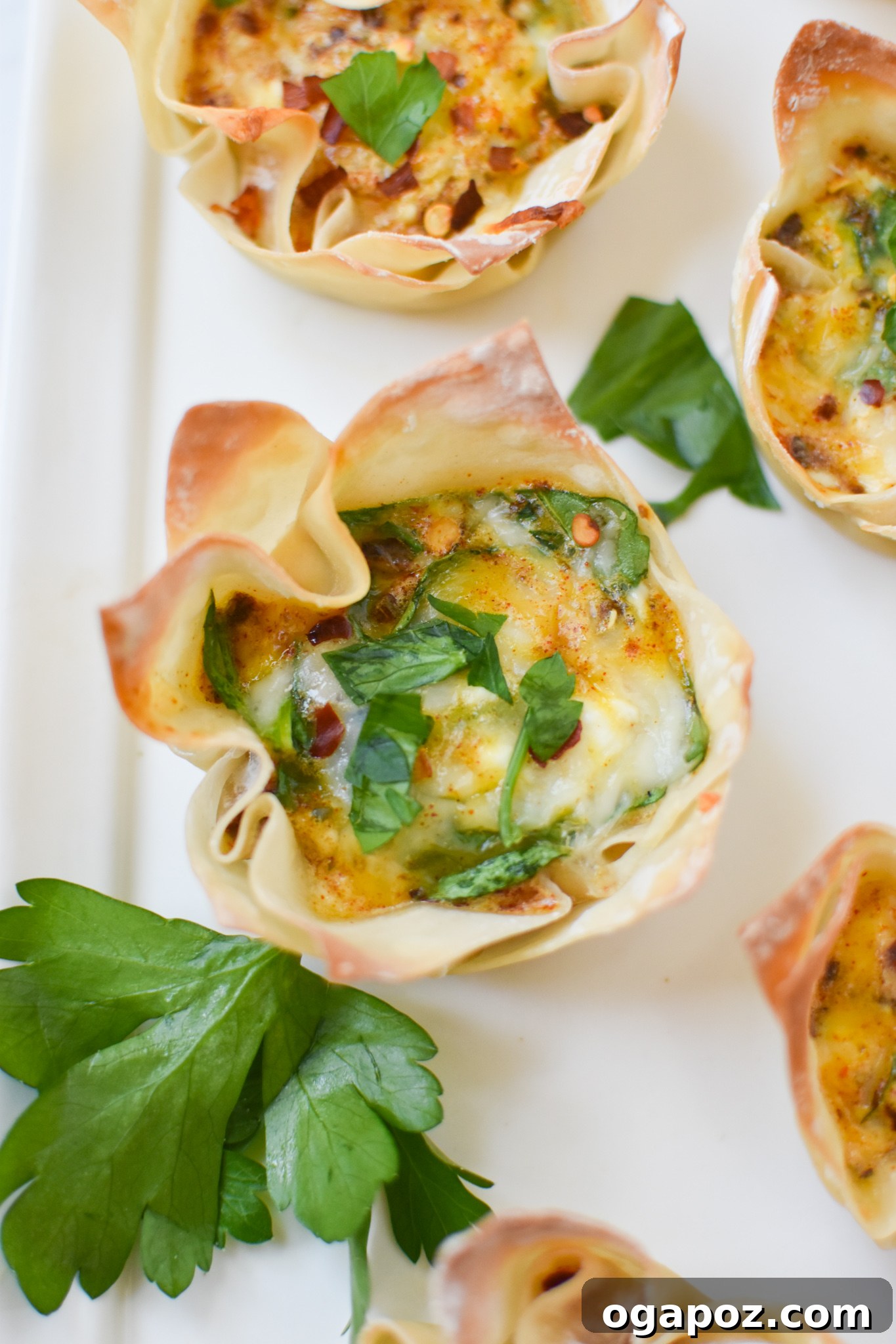 Mediterranean Quiche Parcels 2 A platter of golden-baked Mediterranean Quiche Wontons, garnished with fresh herbs, ready to be served as an appetizer.