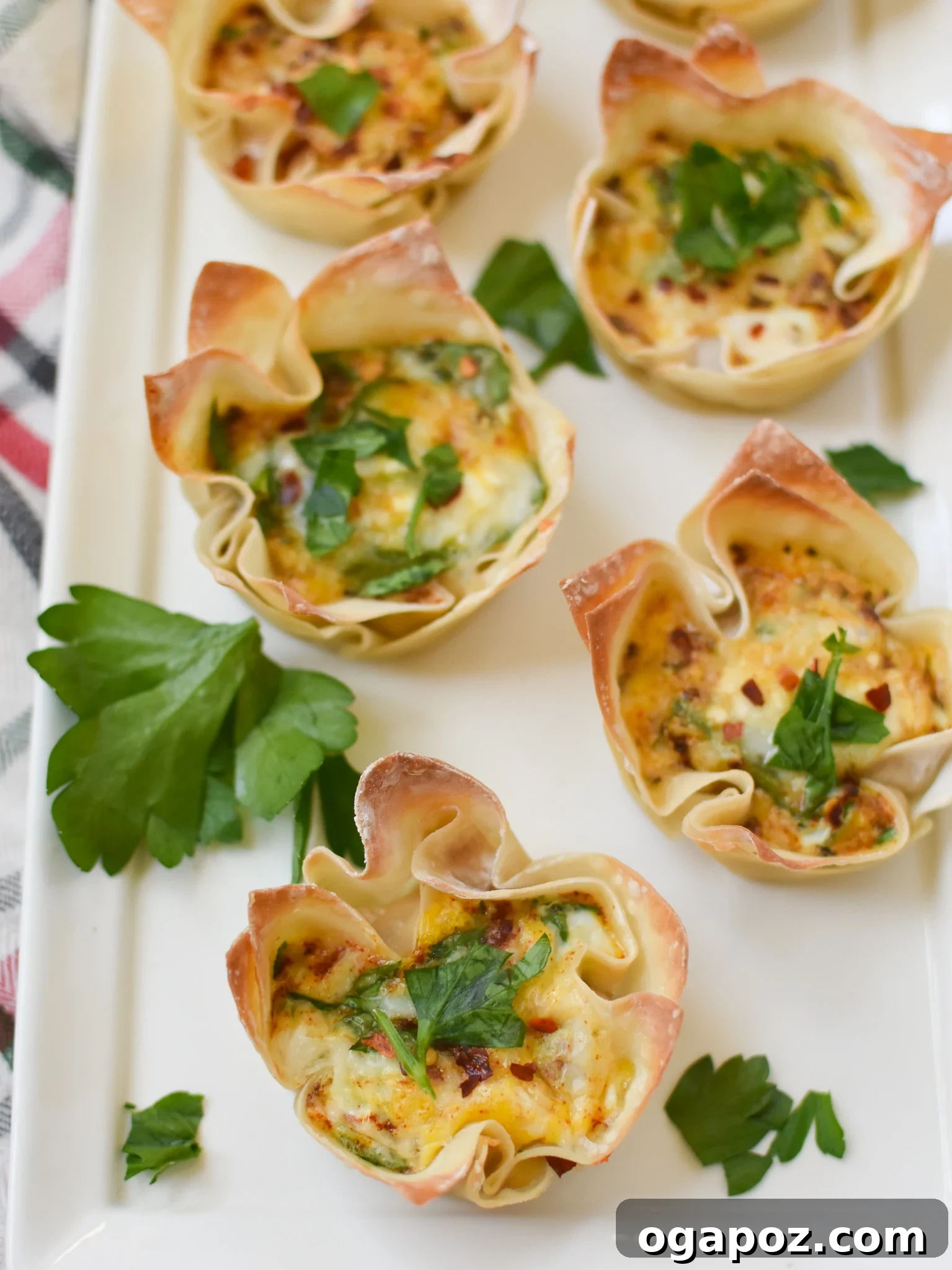 Mediterranean Quiche Parcels 4 A white plate with several Mediterranean Quiche Wontons, showing their crispy edges and savory filling.
