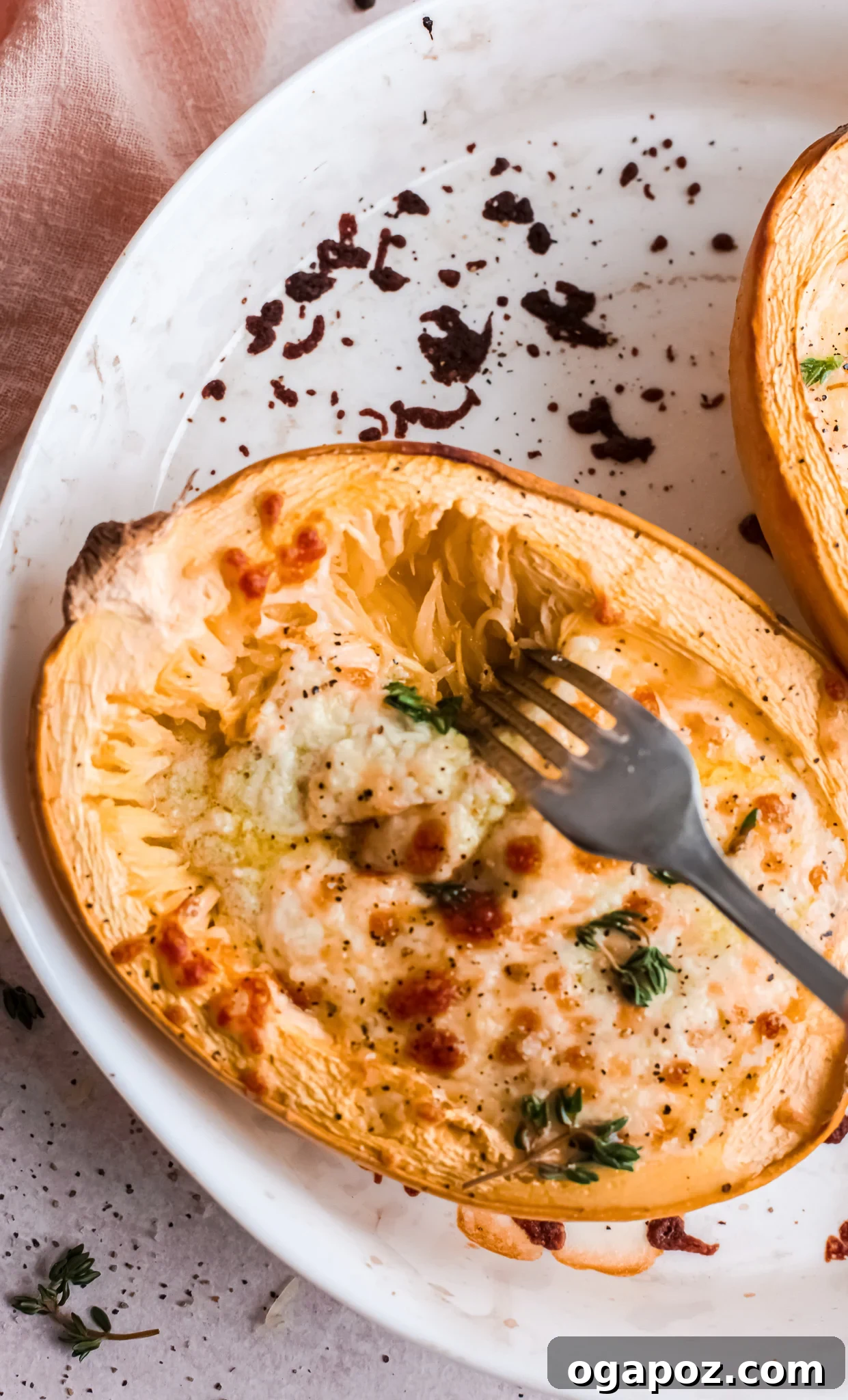 Golden Cheesy Spaghetti Squash Bake 2 Baked Cheesy Spaghetti Squash Recipe served in its own squash bowl, ready to eat.