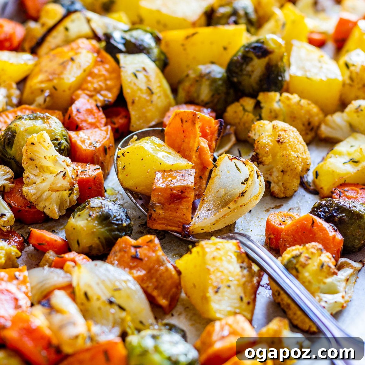 Hearty Roasted Fall Vegetables