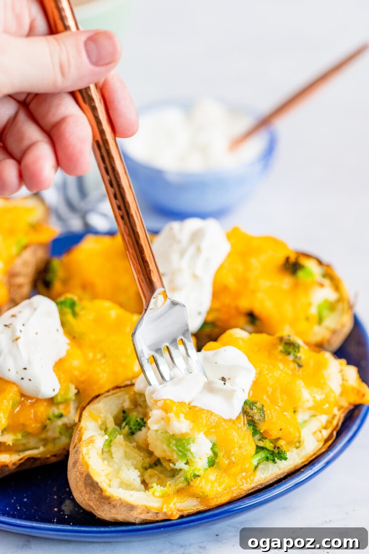 Crispy Air Fryer Twice Baked Potato