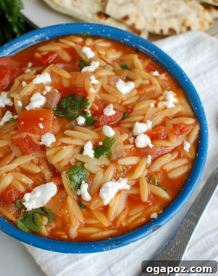 Creamy One Pot Tomato Herb Orzo
